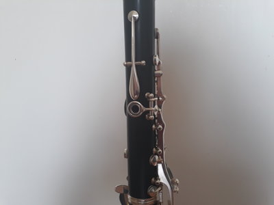 20200412_140517.jpg
